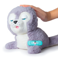 Club Petz - Tuleň Silver