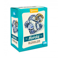 Mořský kovový Hlavolam