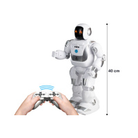 Robot Bot X