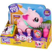 Little Live Pets - Prasátko