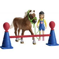 Schleich Farm World - Trénink poníků 42481