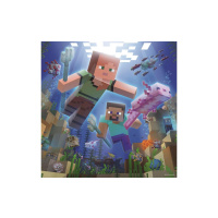 Puzzle 3x49 – Minecraft