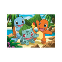 Puzzle 2x24 – Pokémon