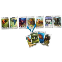 Cardline – Svět zvířat