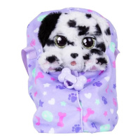 Baby Paws – Pes Dalmatin