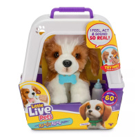Little Live Pets – Štěňátko Patches