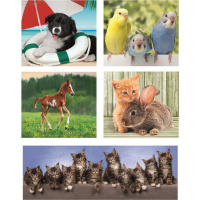 Puzzle 10v1 - Zvířecí kamarádi