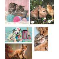 Puzzle 10v1 - Zvířecí kamarádi