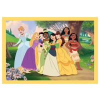 Puzzle 4V1 - Disney Princess