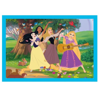 Puzzle 4V1 - Disney Princess