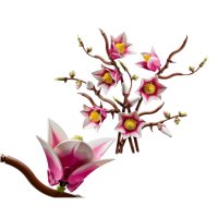 11510 Lego Botanicals – Větvičky magnólie