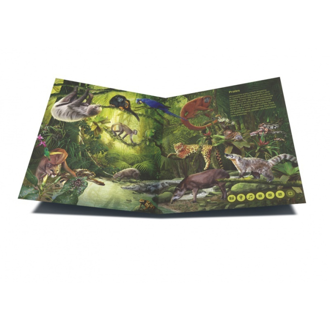 Kouzelné čtení - Svět zvířat