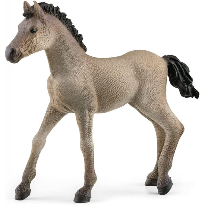 Schleich – Hříbě Criollo 13949