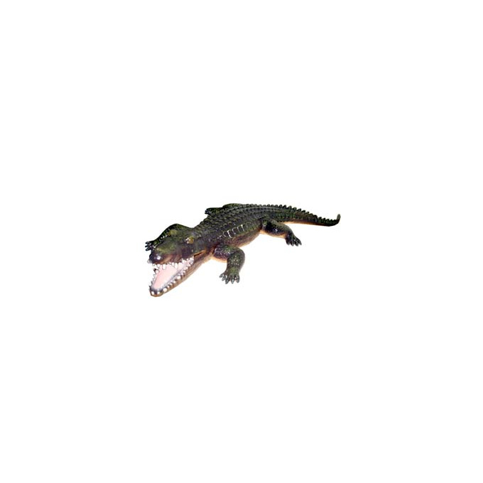 Aligátor