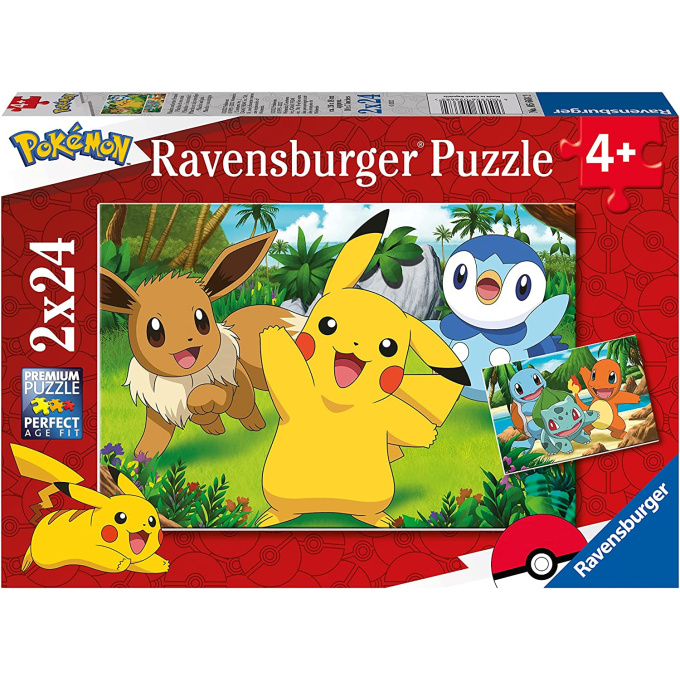 Puzzle 2x24 – Pokémon