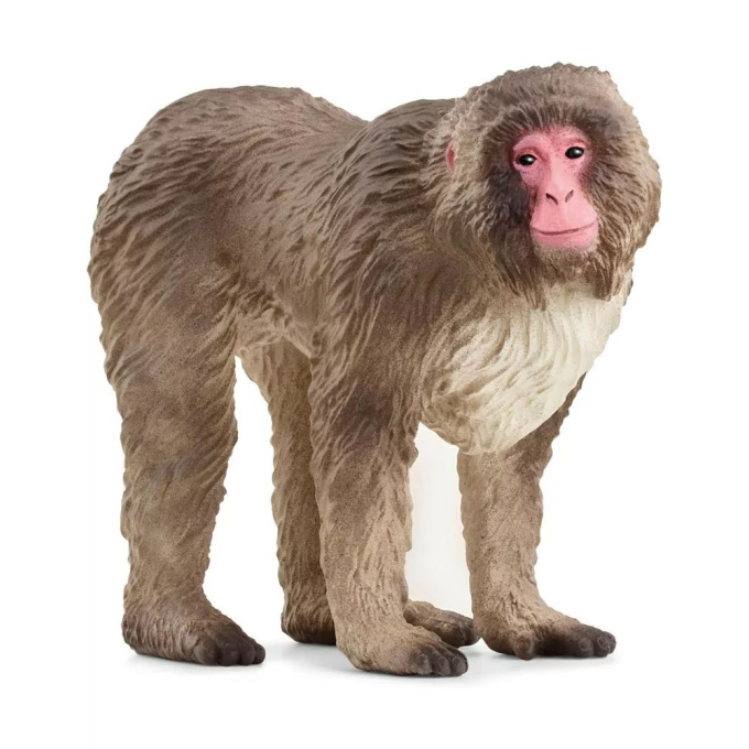 Schleich – Makak červenolící 14871