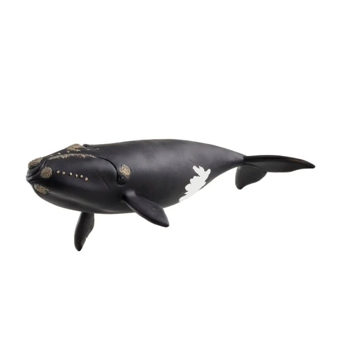 Schleich - Velryba severoatlantická 14878
