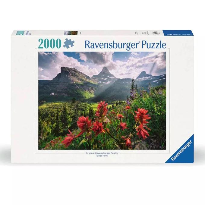 Puzzle 2000 - Země