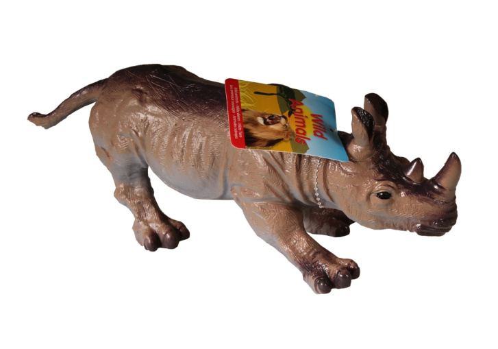 Divoká zvířata