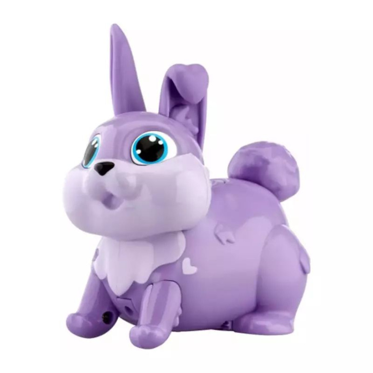 Zajíc Bunny