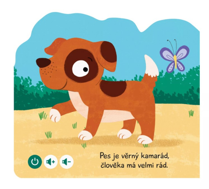 Kouzelné čtení - Pes