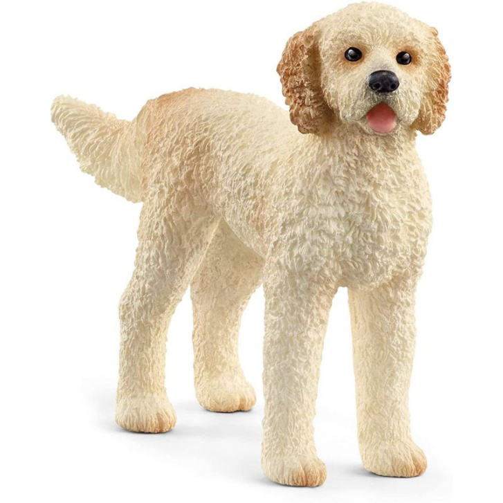 Schleich - Pes Goldendoodle 13939