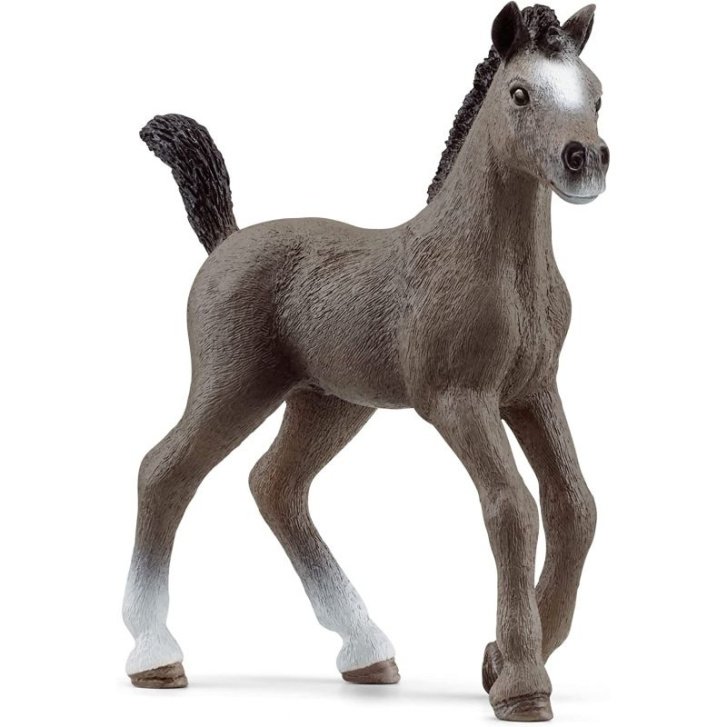 Schleich – Hříbě plemena Selle Francais 13957