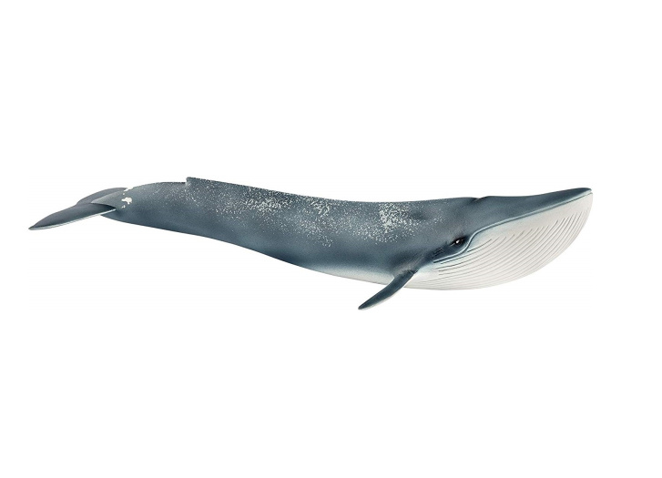 Schleich – Velryba modrá 14806