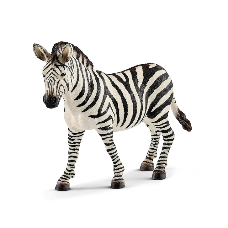 Schleich - Zebra samice 14810