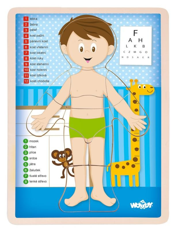 Puzzle – Lidské tělo chlapec