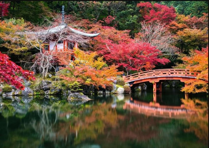Puzzle 1000 – Krásné záhrady, Japonsko