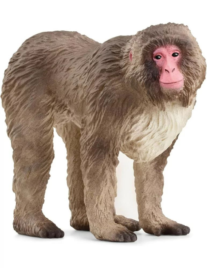 Schleich – Makak červenolící 14871