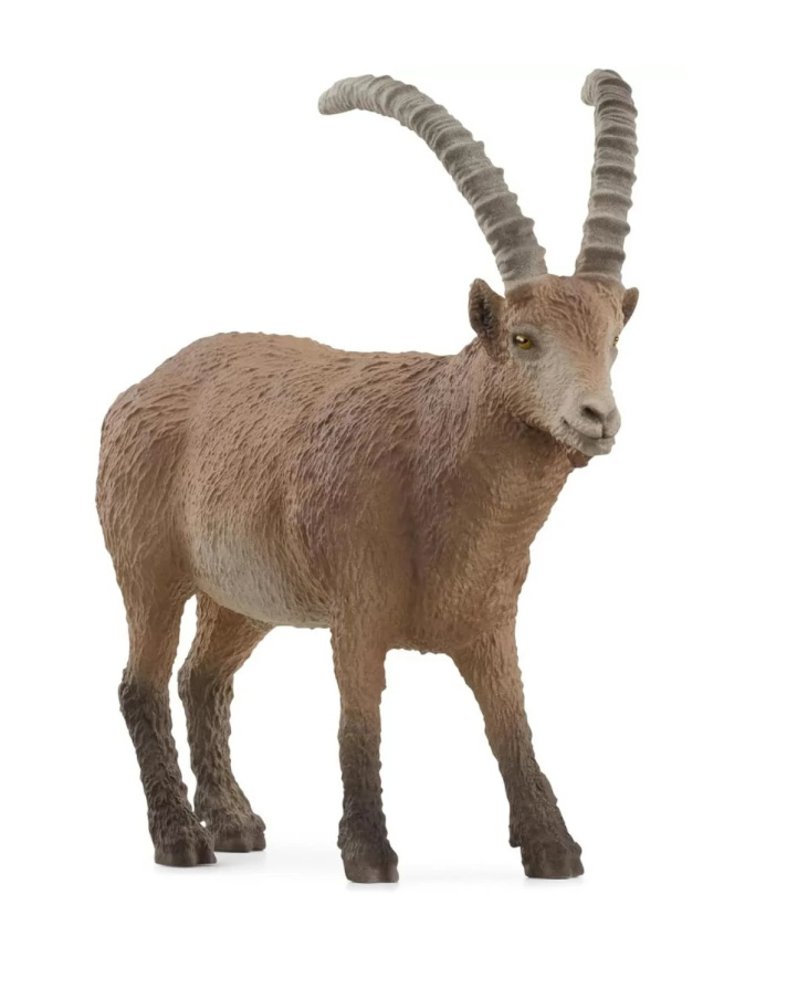 Schleich – Kozoroh 14873