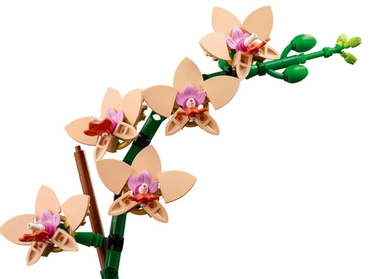 10343 Lego Botanicals – Miniaturní orchidej