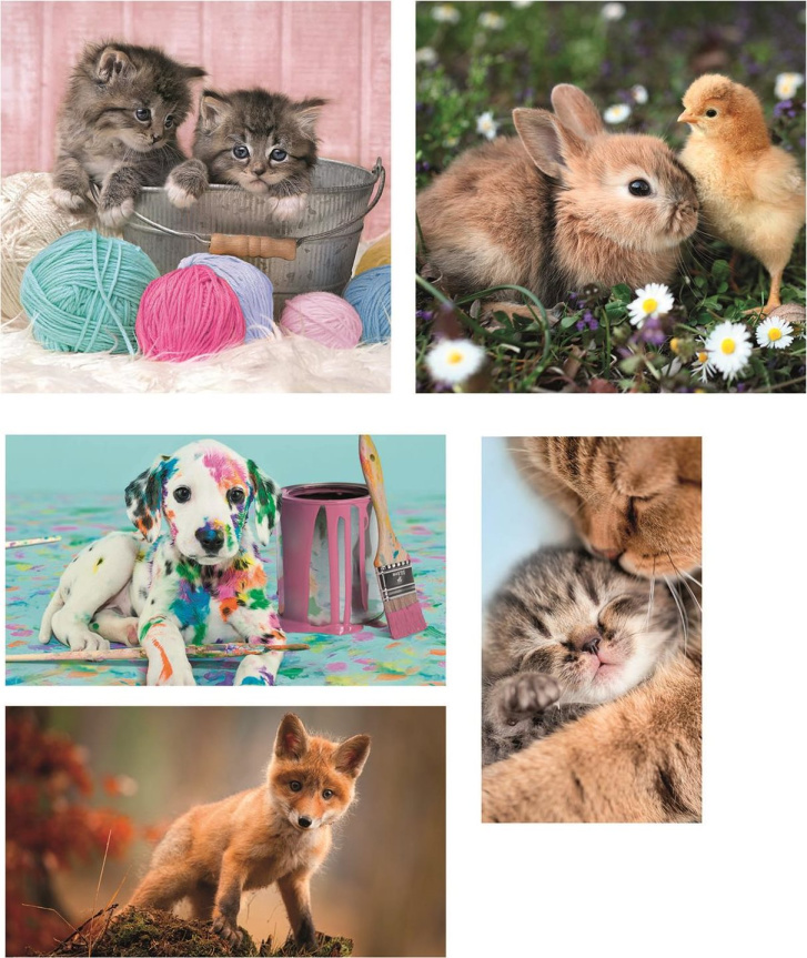 Puzzle 10v1 - Zvířecí kamarádi