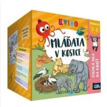 Kvído – Mláďata v kostce