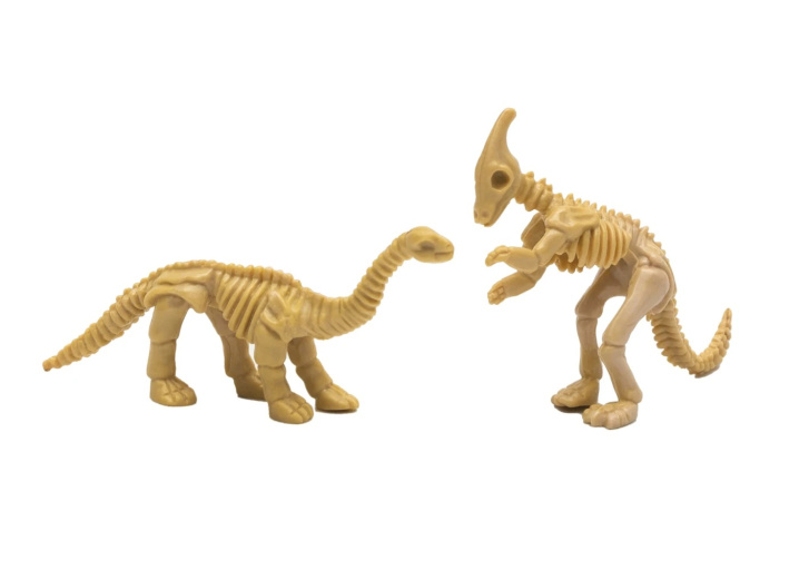 Igráček - Paleontoložka