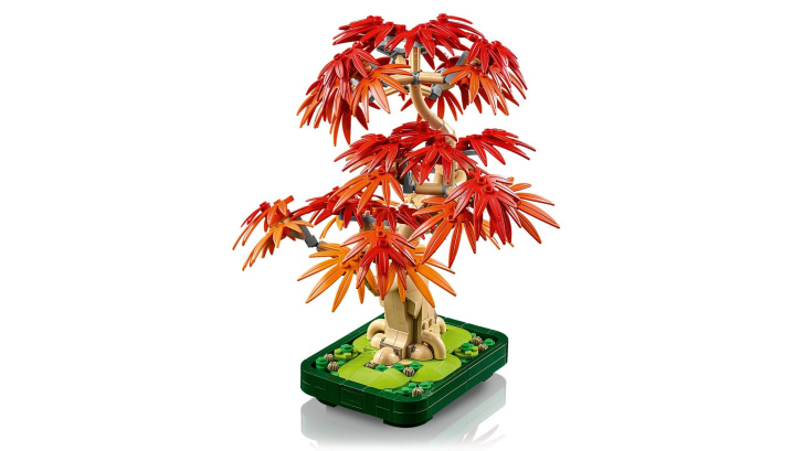 10348 Lego Botanicals – Bonsaj – Japonský červený javor