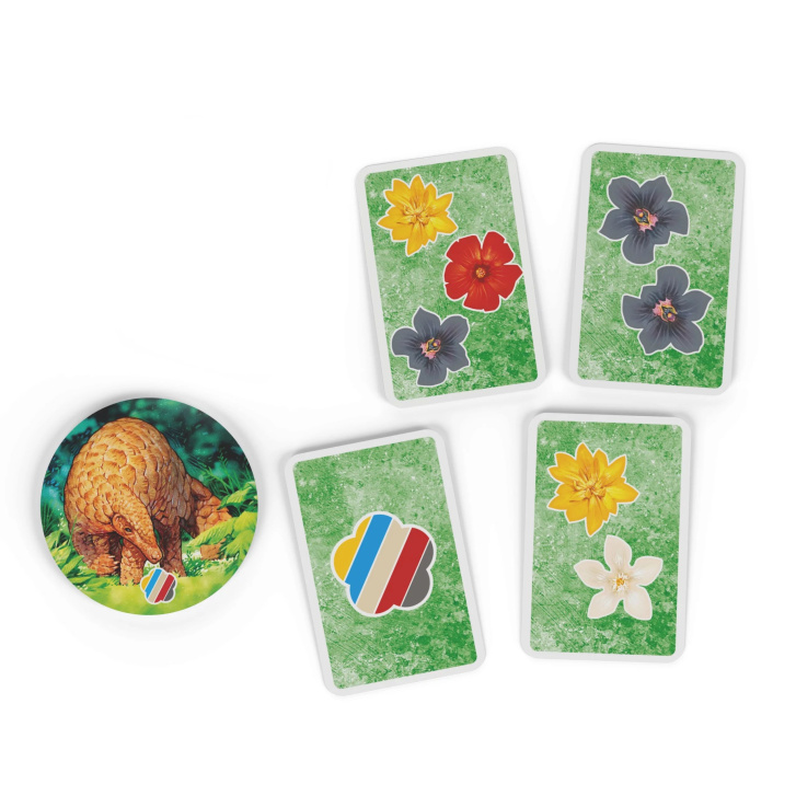Hra – Hutan