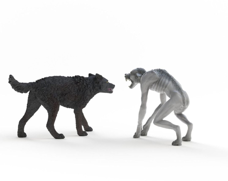 Schleich – Vlkodlak vs. zvěromág 14906