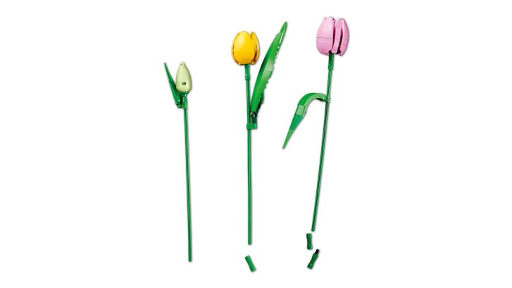 11501 Lego Botanicals – Kytica tulipánů