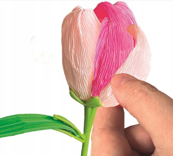 Výroba květin – Tulipán