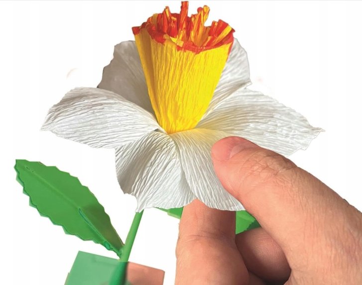 Výroba květin – Narcis
