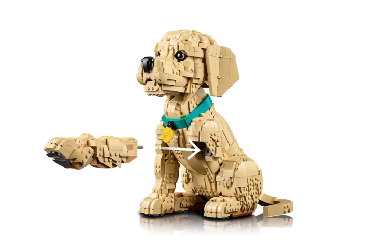 11384 Lego Icons - Štěně zlatého retrívra
