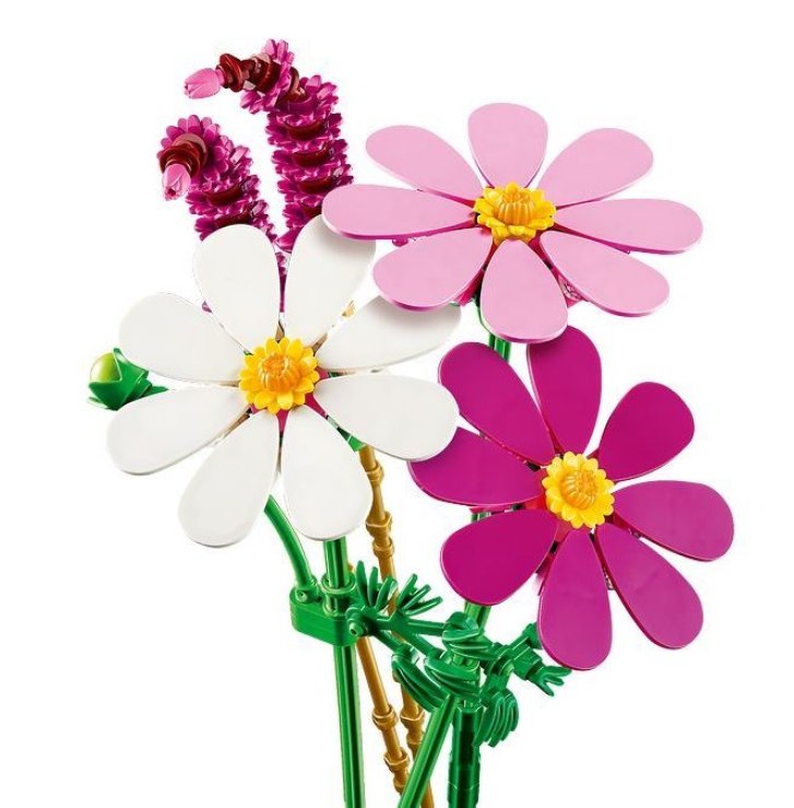 11514 Lego Botanicals – Krásenky