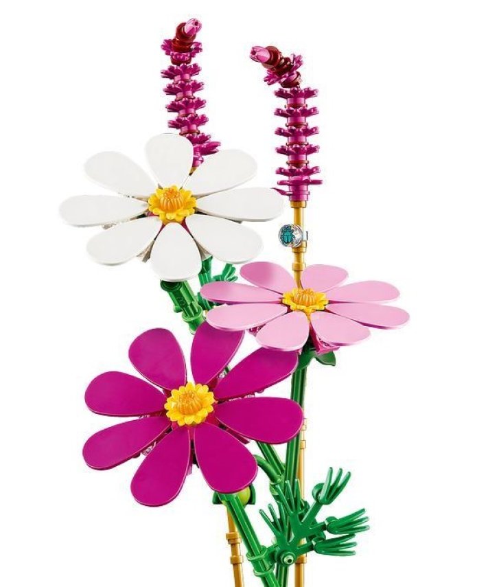 11514 Lego Botanicals – Krásenky