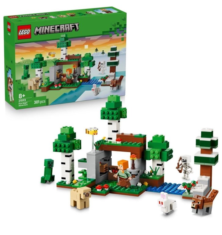 21593 Lego Minecraft - První noční dobrodružství