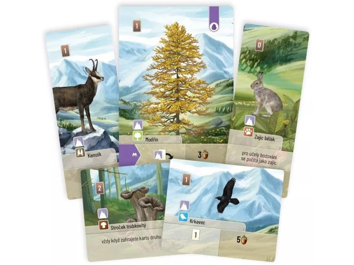 Hra – Smíšený les: Alpy