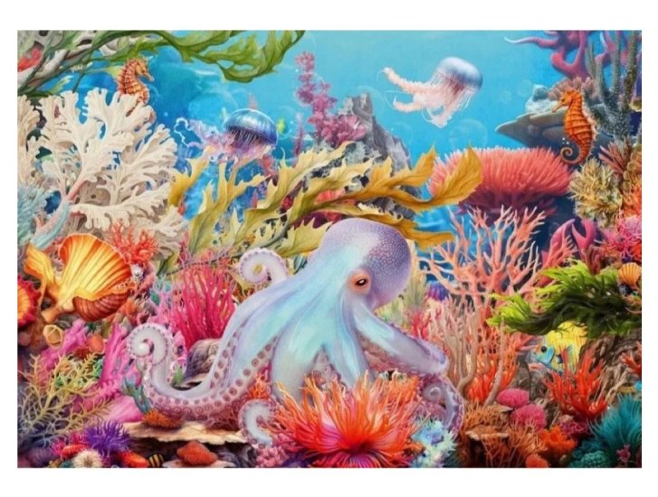 Puzzle 500 - Korálový útes