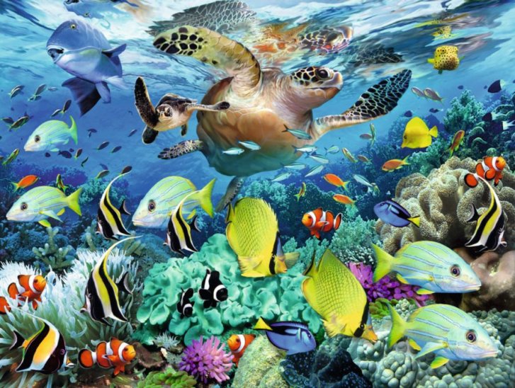 Puzzle 100 XXL – Podmořský ráj